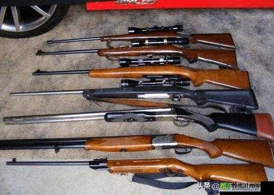 为什么 eessue 步枪区打不开?