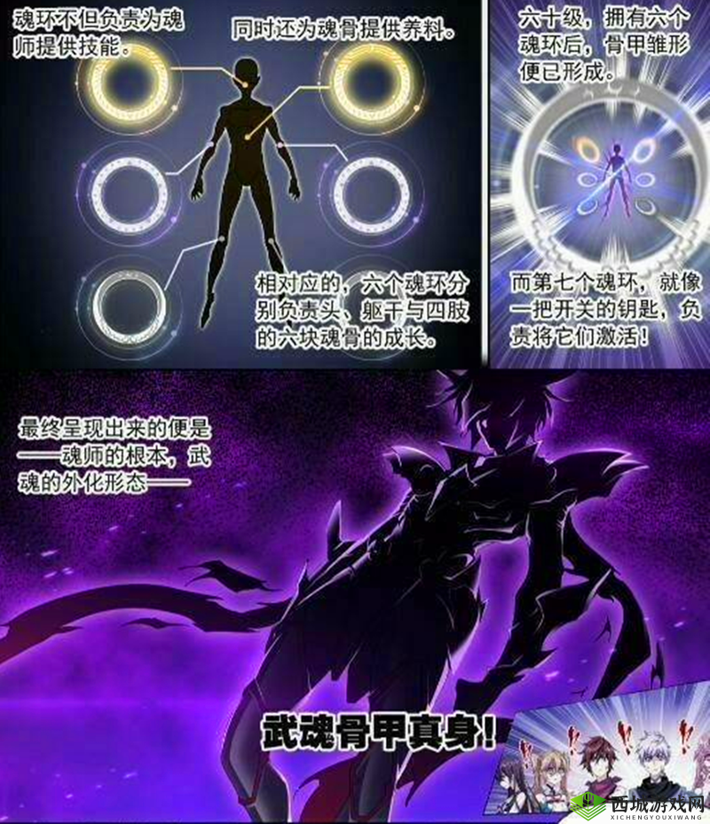 以戴沐白为主的破甲队魂环搭配:2221