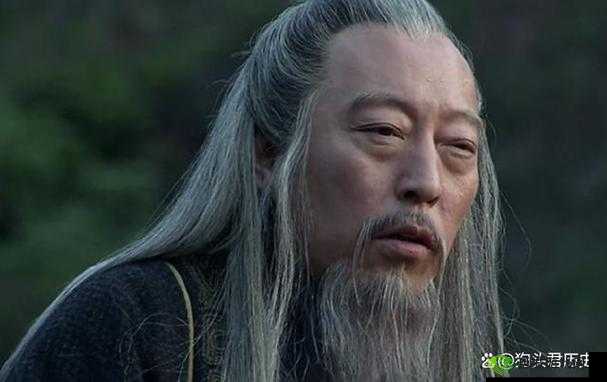 鸿图之下,司马懿,智谋与权术的巅峰演绎