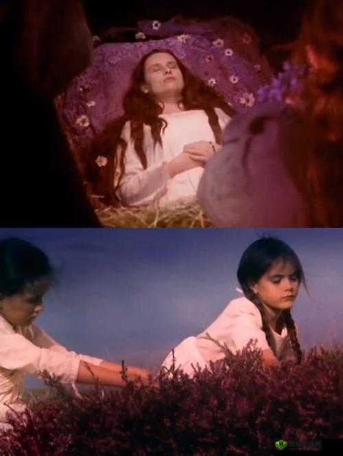 野花在线观看免费高清完整版:你不可错过的精彩影视资源