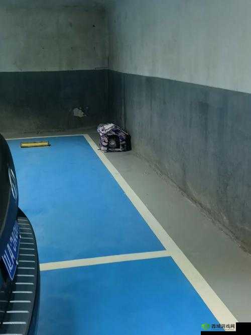 设计自己初次为七个流浪车库的独特探索