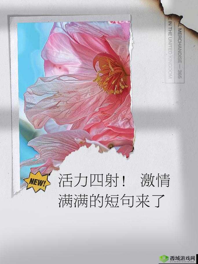 早晨的激情挑战:1 对 2