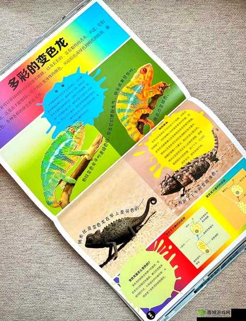 日本 ZOOM 动物的奇妙之旅:探索动物世界的别样视角