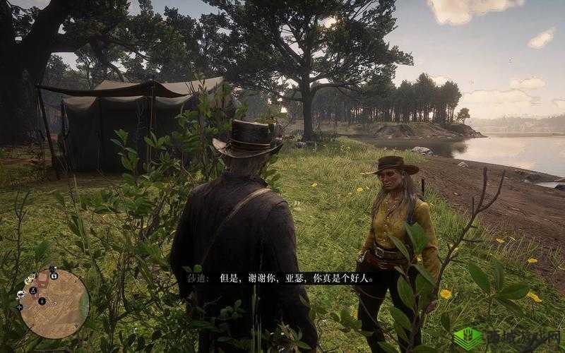 20 岁阿姨荒野大镖客幕后故事:一段别样的传奇经历