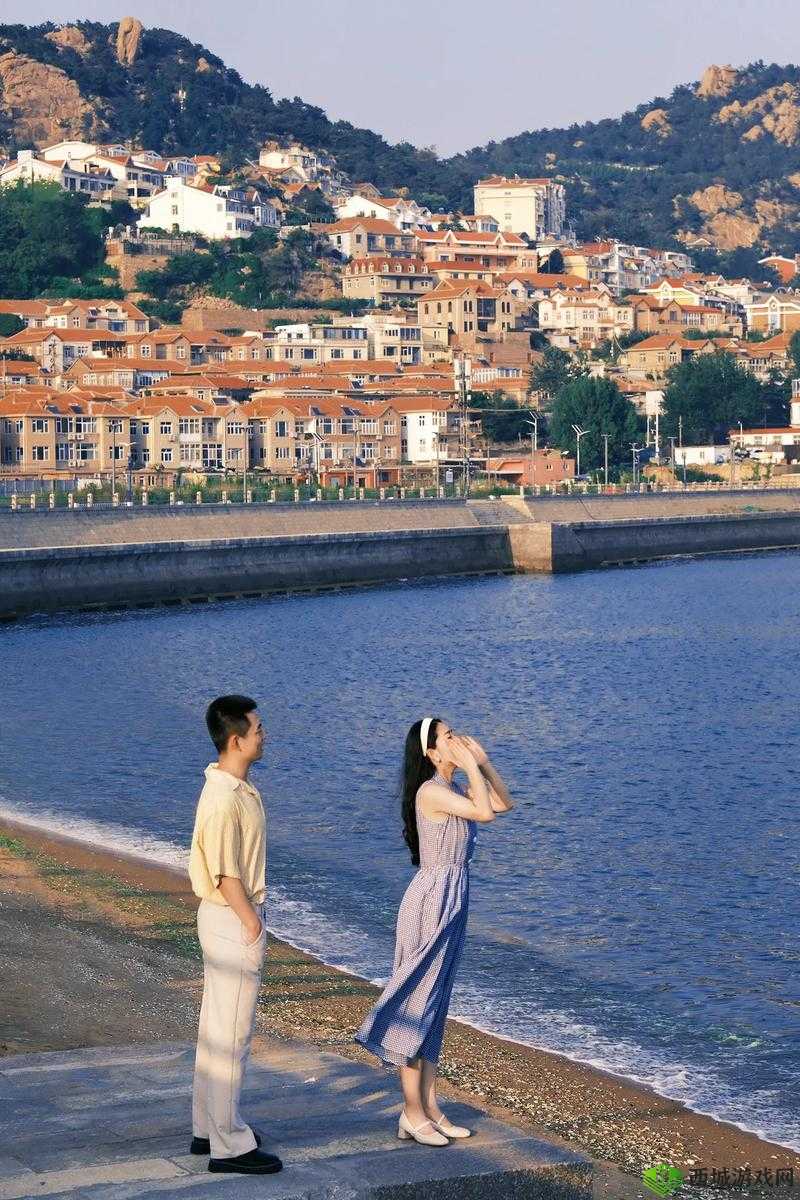 爱岛视频:一场别样的视觉盛宴与情感触动