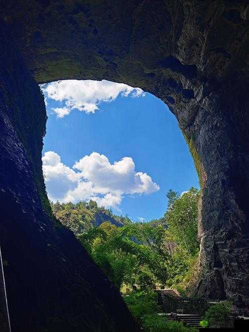 妈妈桃花源洞口:那是充满爱与温暖的神奇之地