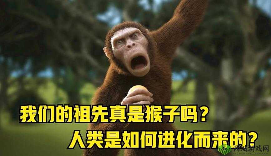 两人造猴子的视频:关于人类起源与进化的神奇探索