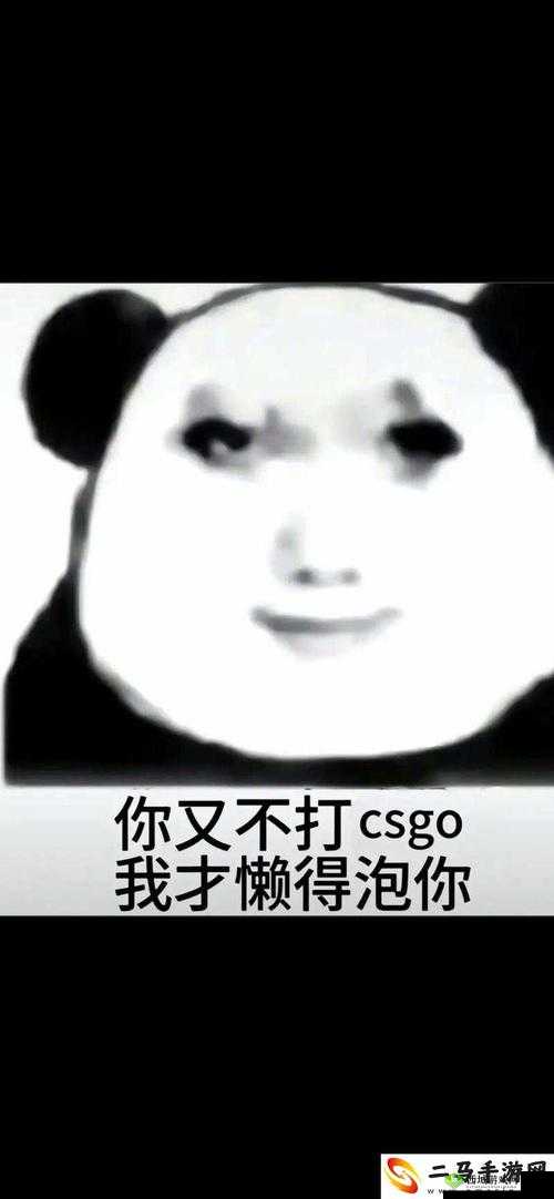 暴躁老姐的CSGO心得分享视频:深度剖析游戏致胜关键