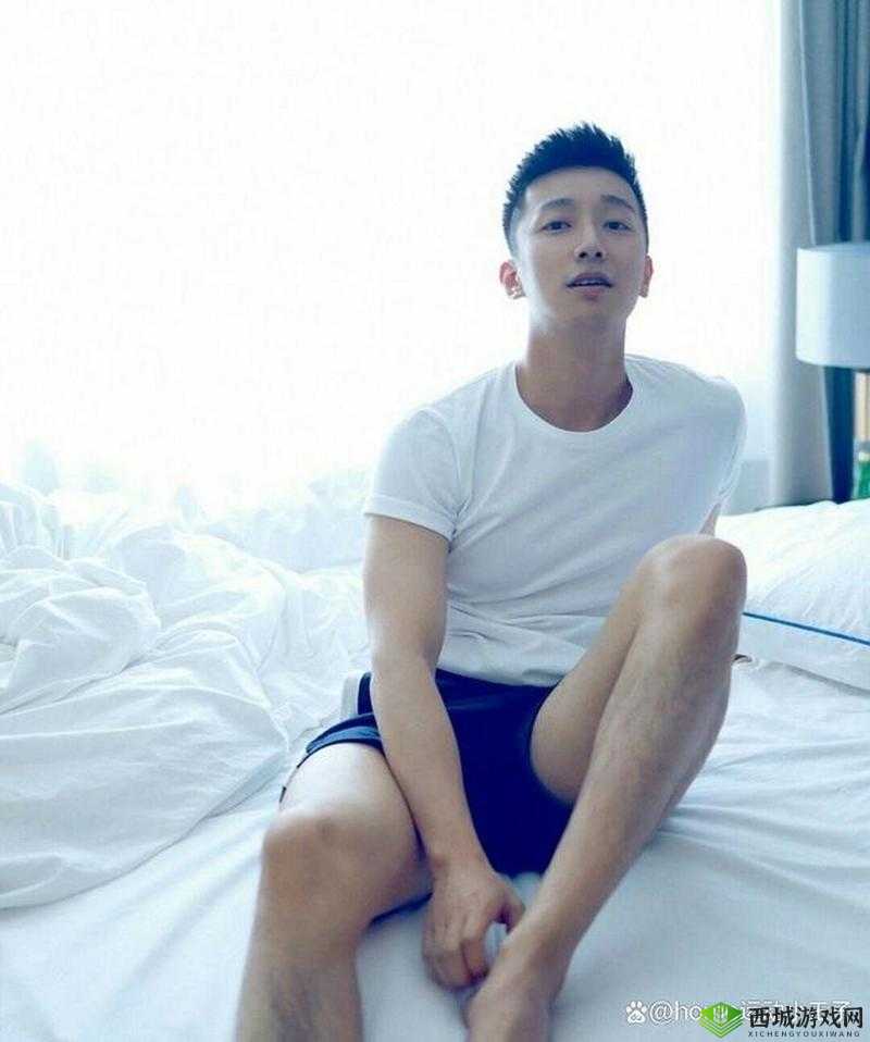 国产小鲜肉 1069cAyG:流量与争议并存