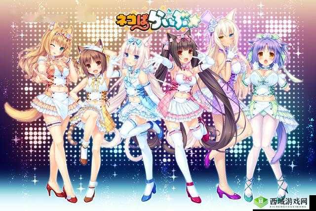 和猫娘一起披萝卜:开启一场充满惊喜的奇妙之旅