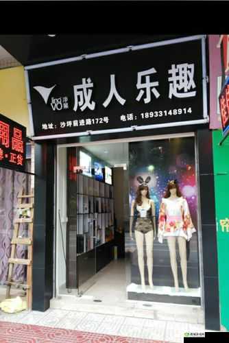 藏精阁 AV 成人网站:探索精彩成人世界的独特之域