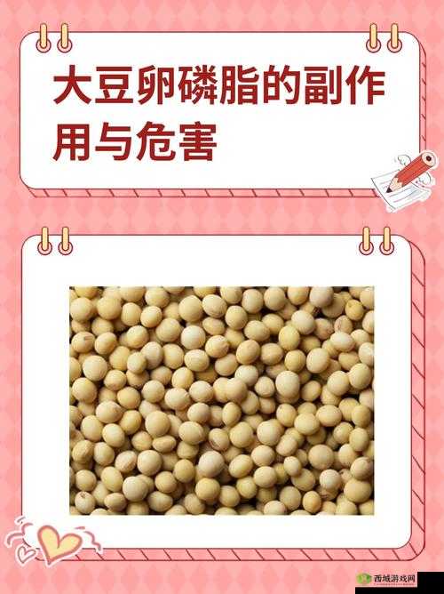 狂猛欧美激情性 XXXX 大豆行情:激情澎湃的大豆市场,你准备好了吗?