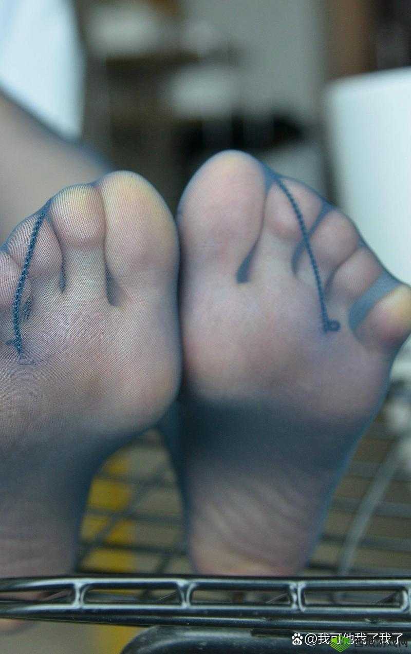 美足榨精:探索极致快感的私密世界