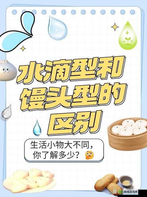 水滴型与馒头型的本质区别:形态特征及应用场景差异分析
