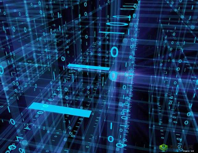 无人区码一码二码三码区别:揭示神秘数字背后的真相