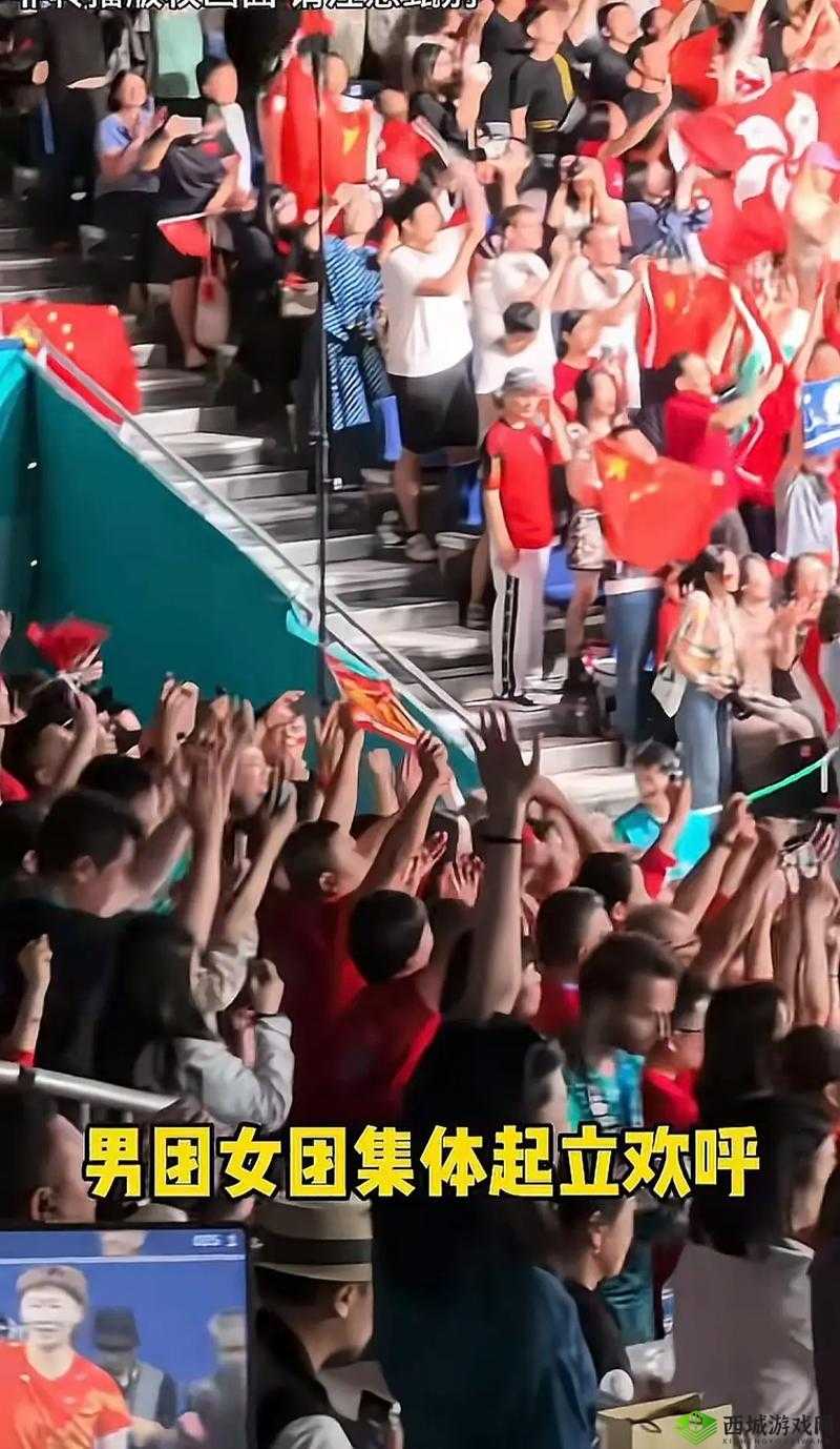 视频中国HD:展现丰富多彩的视觉盛宴与文化魅力