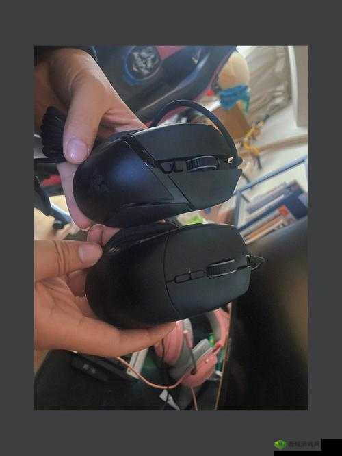 双黑蛇的温度 1V2:一场惊心动魄的战斗与挑战