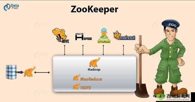 Zoom 美国 Zookeeper 打得开了吗:对其能否正常使用的探讨与分析