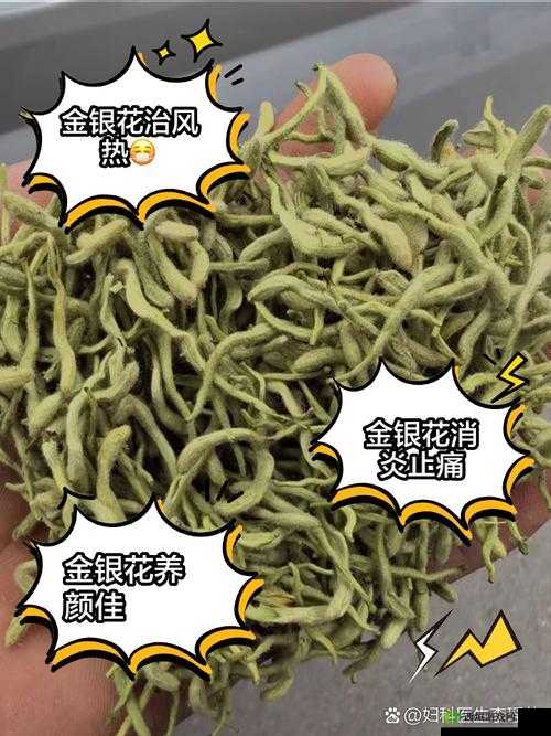 通水管 TXL 金银花:清热解毒的天然良药
