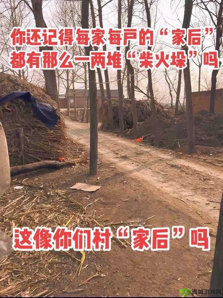 柴火垛里的疯狂最经典的一句:带你领略别样精彩