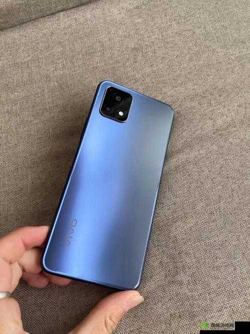 成色好的 y31 全方位解析:解析其性能、功能与价值