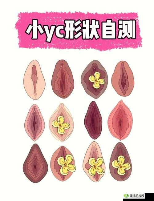 私密丰满做几次:揭秘私密丰满的奥秘