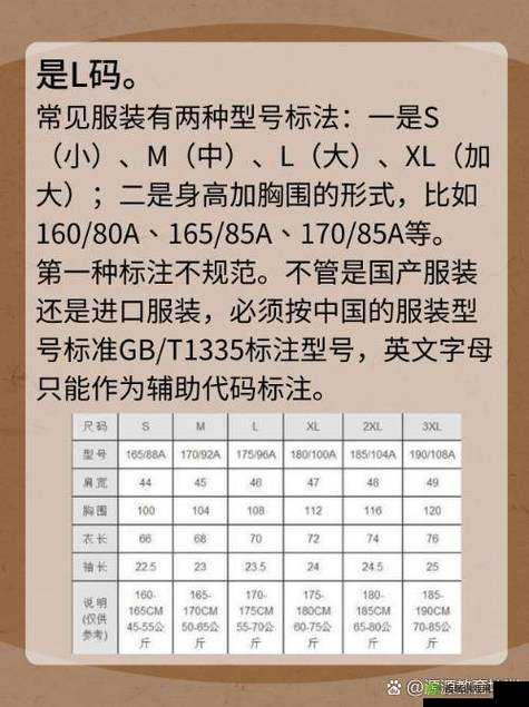亚洲 M 码-欧洲 S 码 SSS222:尺码转换背后的文化差异与时尚潮流