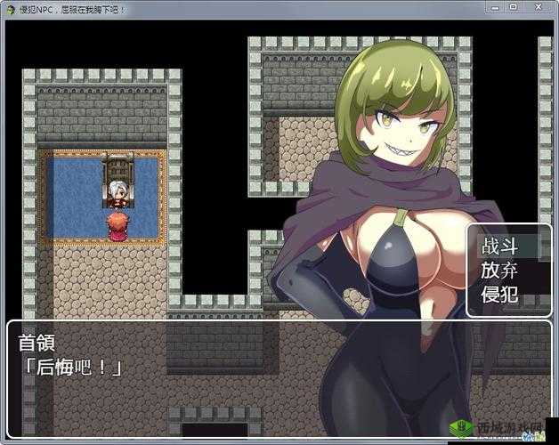 可以随便侵犯 npc 界面怎么退出：详细步骤与注意事项解析