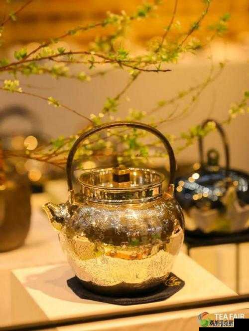 300 一晚同城约茶:畅享品质时光的绝佳之选