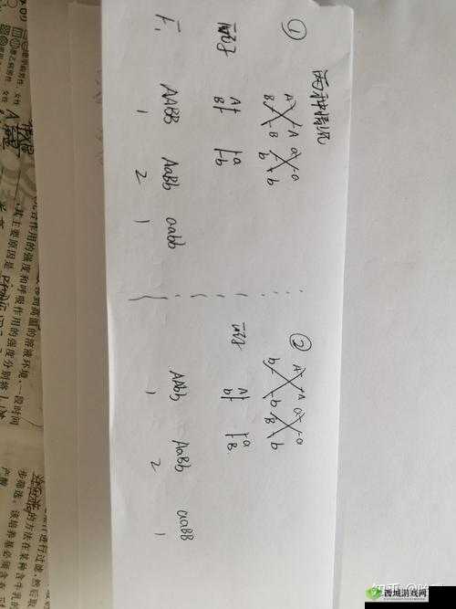 AABB 与 AAAA 的区别:据说能找到齐全视频资源的奥秘