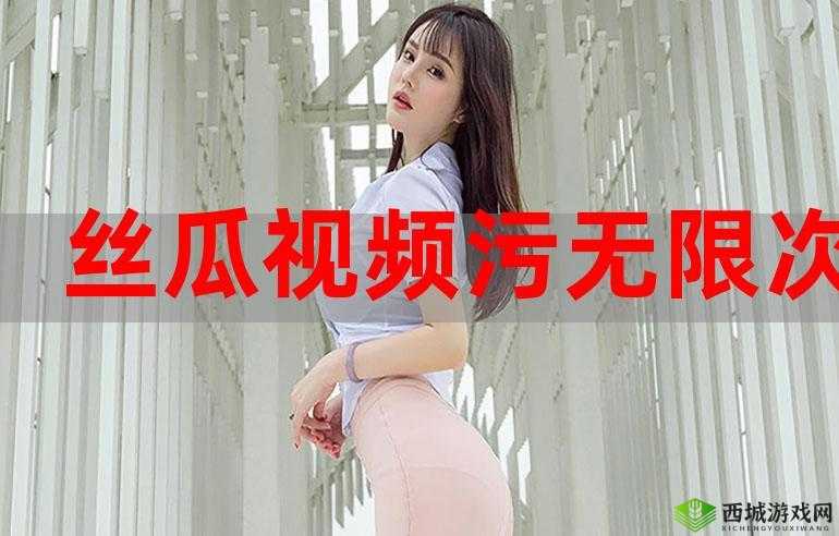 丝瓜成视频人 APP 下载网站:带来无限精彩的视频世界