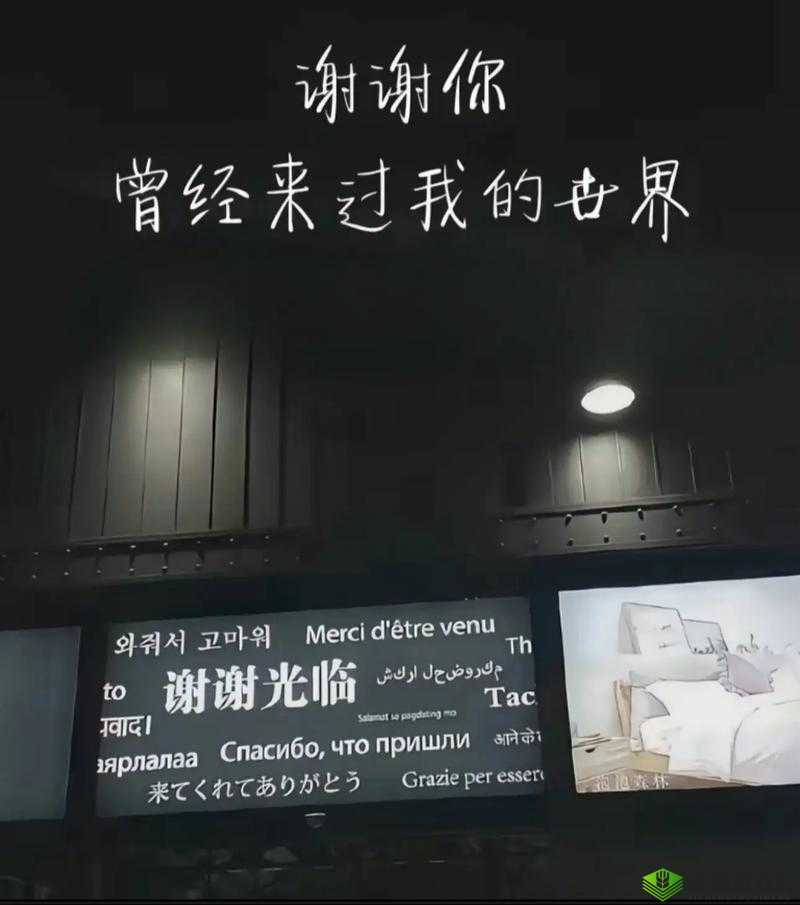 你会回来感谢我的: exploiting 619Y 背后的秘密