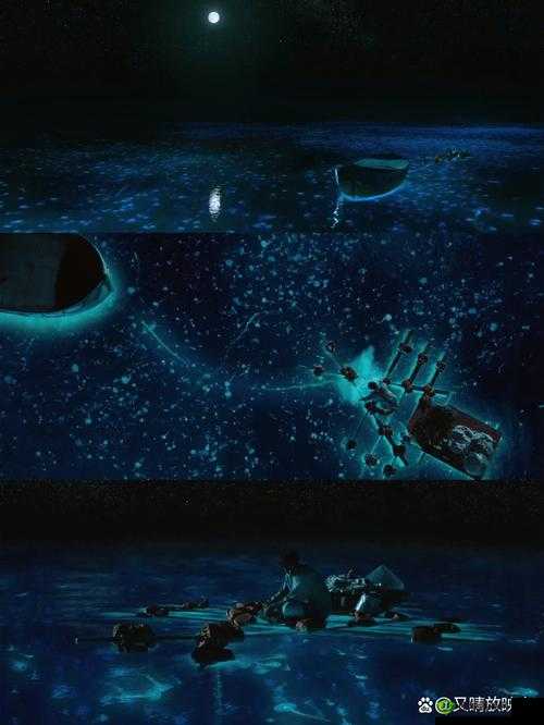 三叶草 GW6797:带你探索未知的世界