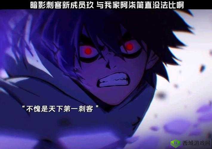 刺客天下,探寻最强职业,揭秘角色巅峰实力