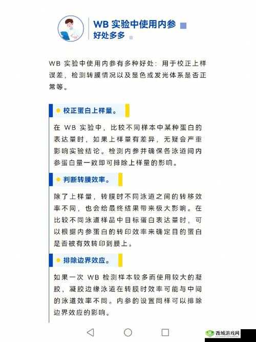 九阳神功2，侠、邪、隐和伶选择培养的重要性与资源管理策略
