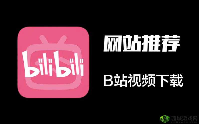 逼哩逼哩下载:带你畅享丰富精彩的视频世界