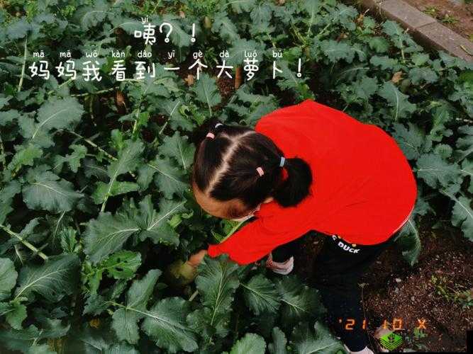 以后挤牛奶拔萝卜怎么拔:详细步骤与技巧分享