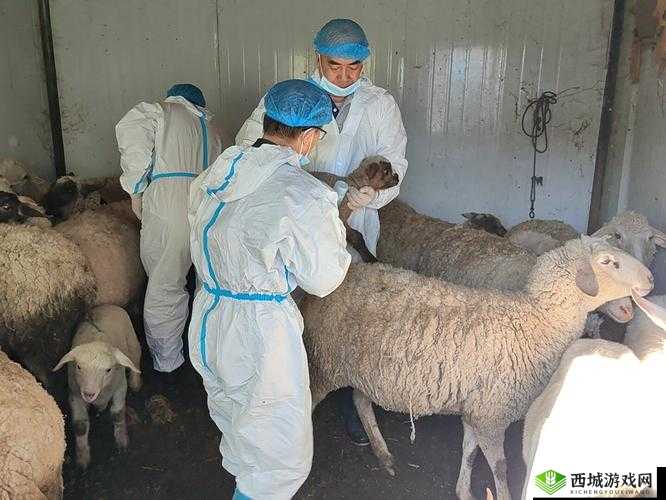 人畜禽CORPORATION 在线咨询:解答相关领域各类疑难问题