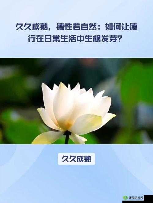 久久成熟德性若自然矣:关于品德修养的深入探讨与感悟