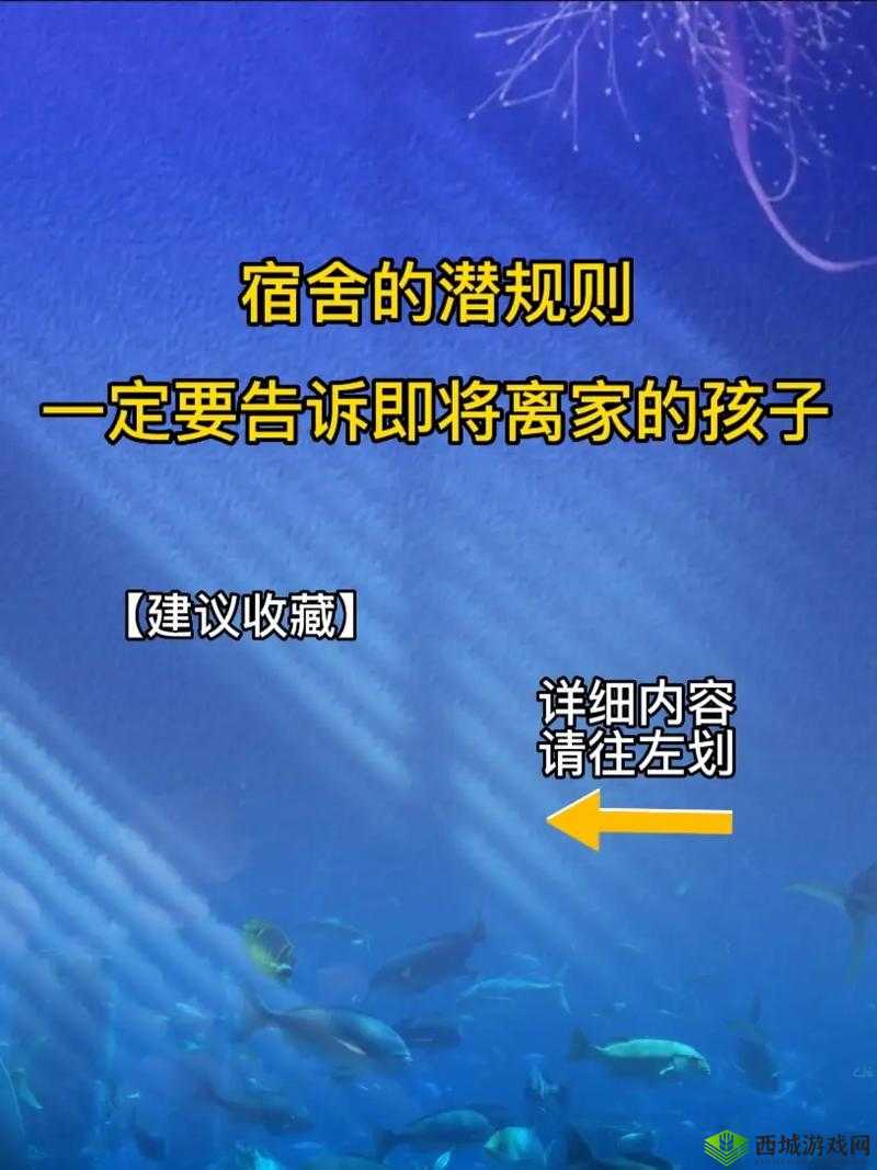 506 寝室的灯灭以后:一场离奇的事件即将展开