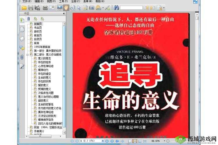 追寻生命的意义：XXXXBBBB 背后的故事