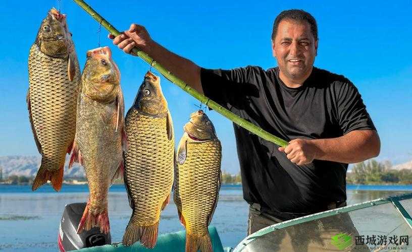 钓鱼与烹饪,幻想计划生活技能全揭秘在资源管理中的重要性与实践