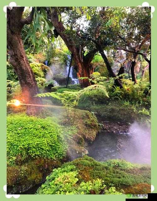 仙踪林网站主页:探索自然与人文的奇幻之旅