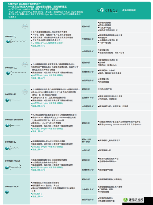 Waters 色谱柱 C18:高效分离分析的得力工具