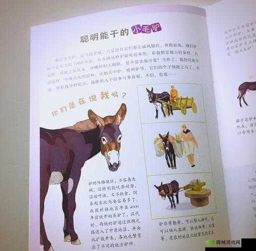 超级肉禽系统体验:探索未知的奇妙世界
