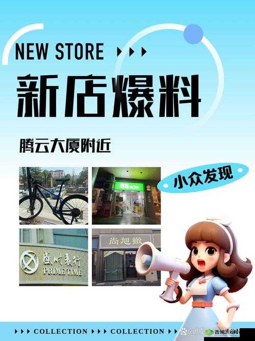 积枳桶积枳免费大全:涵盖各类丰富资源供你选择