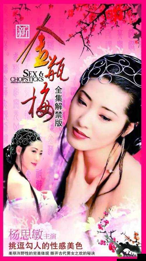 国产 99 久久久国产精品潘金莲：被遗忘的经典角色