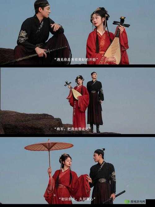 霸气将军潇洒抱得公主归