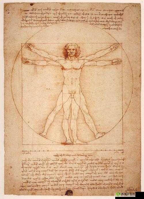 达芬奇密码系列共几部详细解析