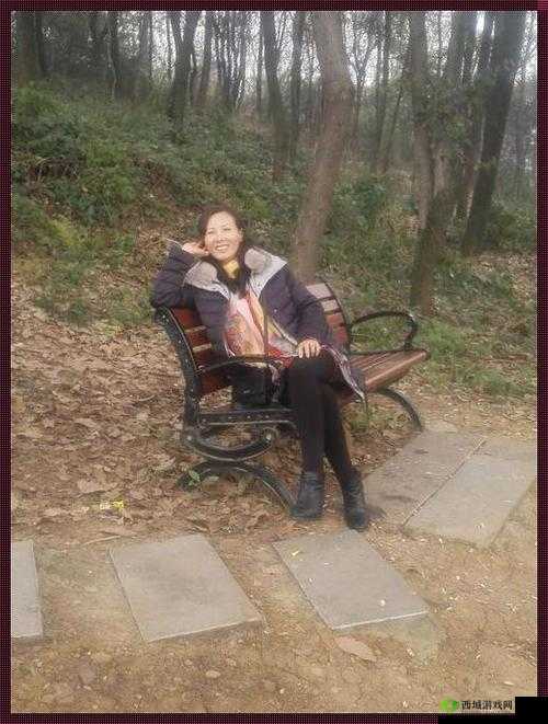 老人做交易森林现场网站:一个充满故事和秘密的地方